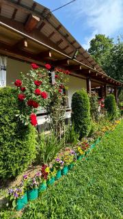 Dacha PODOBOVETS 127 - 4