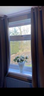Stansted Airport Guest Rooms - Bishop’s Stortford - 6