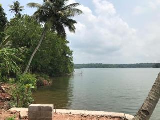 Quite and peaceful - Perumanseri - 9