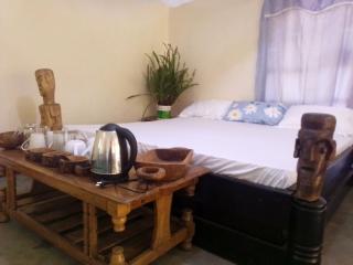 Jungle lodge & Camping site - Arusha - 4