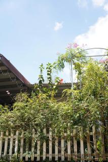 Ốc Hương Homestay - Da Lat - 9