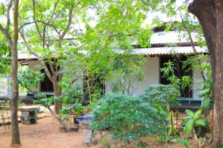 The Royal Garden - Dambulla - 8