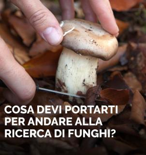 La Cava di Terzo - Antona - 1
