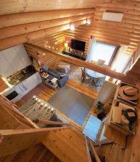 Uniikki lomamökki mäntymetsässä järven edustalla - Pihtikoski - 7