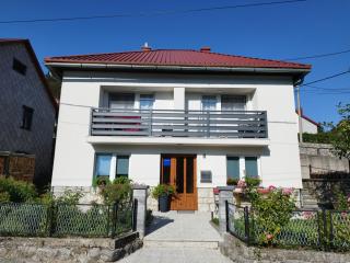 "Cattus" studio apartman - Fužine - 0