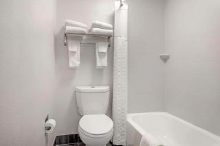 Comfort Suites Nashville Airport - BNA - Nashville - 2