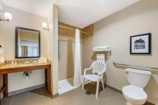 Comfort Suites East Lincoln - Mall Area - Lincoln - 3