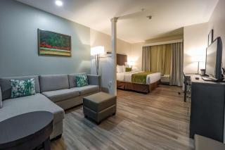 Comfort Inn & Suites Tobago - Tobago - 1