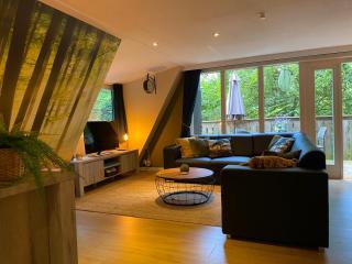 Sunclass Durbuy Chalet 98 Woody - Durbuy - 6