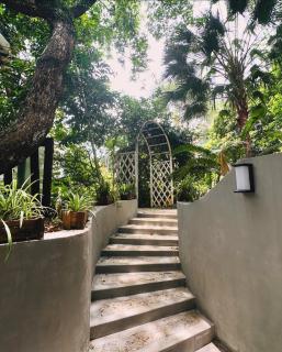 Van Son Garden - HomeStay - 9