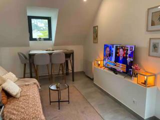 Petit appartement angevin - 5