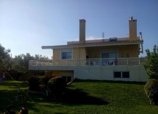 Villa Lamprini - Alexandroupolis - 9