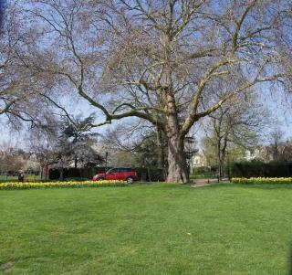 Glorious view over the park - 5