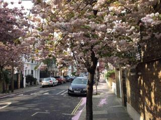 Glorious view over the park - London - 1