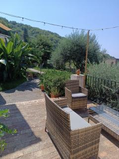 Il rosmarino - 4