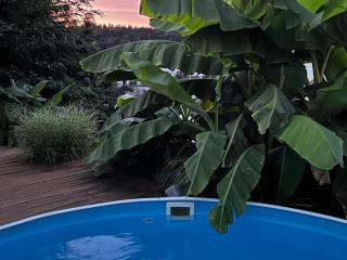 City Chillout Heidelberg Appartement with Sauna & Pool - Heidelberg - 8