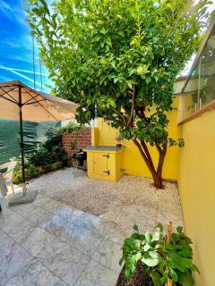 La Casina dei Limoni - 0
