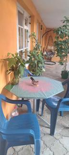 Rest and peace - Tiflis - 4