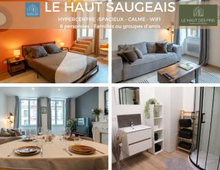 Hypercentre, spacieux, authentique - Le haut Saugeais - Pontarlier - 0