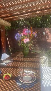 Las rosas - Alfacar - 0