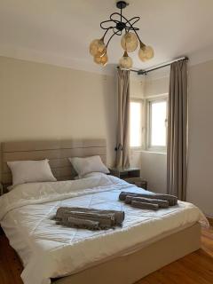 Cozy apartment 10 to 15 min driving to Cairo International Airport - Cairo - 0