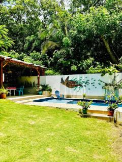 Palmare House - San Andrés - 7