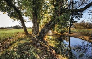 Gorgeous Home In Sinj - 1