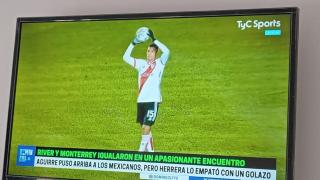 Luma - Bahía Blanca - 5