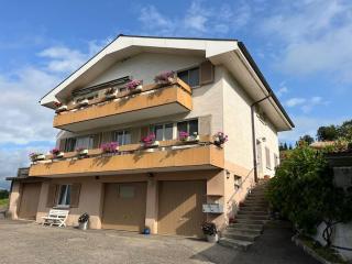 Swiss Alps - Brenzikofen - 5