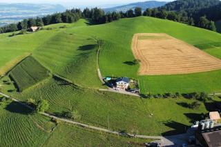 Swiss Alps - Brenzikofen - 3