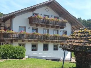Flat in Bavarian Forest with Garden - Viechtach - 0