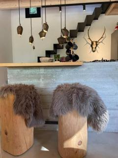 The forest chalet in Parnassus - Eptalofos - 9