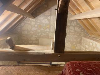 Immersion dans une loge de vigne - Ingrandes-de-Touraine - 9