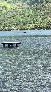 Fare Honu - Orufara - 1