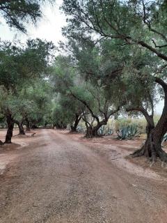 El Solar De Los Olivos - Copacabana - 4