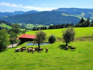 Ferienwohnung Seywald - Oberreute - 5