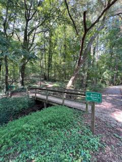 Modern 2 Bed Apartment In Chapel Hill - Chapel Hill - 3
