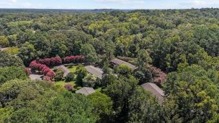 Modern 2 Bed Apartment In Chapel Hill - Chapel Hill - 7