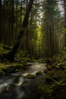 Šumavské apartmány - 7