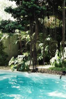 Banyan Villa Panglao with private pool - Panglao - 7