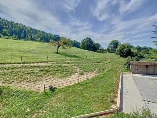 La Grimaudière, calme, campagne, animaux acceptés - - 8