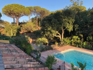 Sous les pins parasols - 5