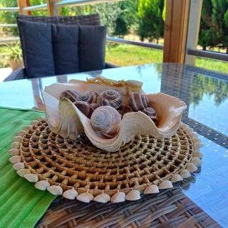 Villa Nikos - Nea Plagia - 6