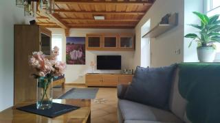 Exoten-Paradies Ferienwohnung im Garten Seggewiß - Tierfreie Nichtraucherwohnung - 8