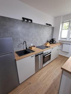 Apartament przy stawach - Grodzisk Mazowiecki - 1
