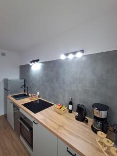 Apartament przy stawach - 1