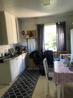 Sommar och vinter i Rottneros - 5