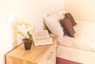 Dzirnavu City Center Apartment - Riga - 4