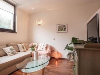 Apartament typu Studio KAMYKÓWKA w sąsiedztwie gór i lasów Piechowice - Szklarska Poręba Dolna - 5