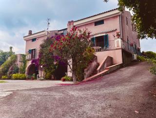 Villa Milone Etna Country House - Zafferana Etnea - 0